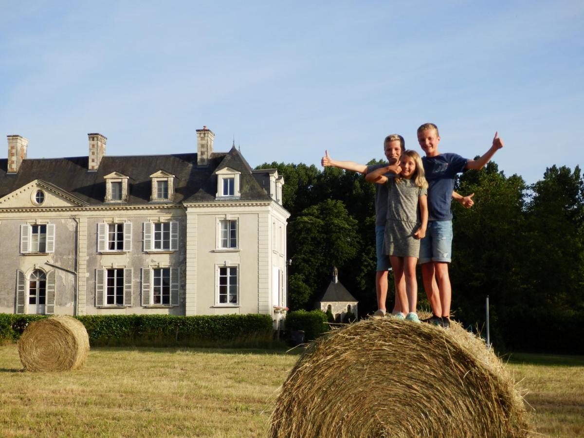 Chateau La Mothaye - Self Catering Apartments With Pool In The Loire Valley Les Bois-d'Anjou Exterior photo