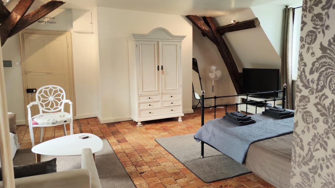 Chateau La Mothaye - Self Catering Apartments With Pool In The Loire Valley Les Bois-d'Anjou Exterior photo