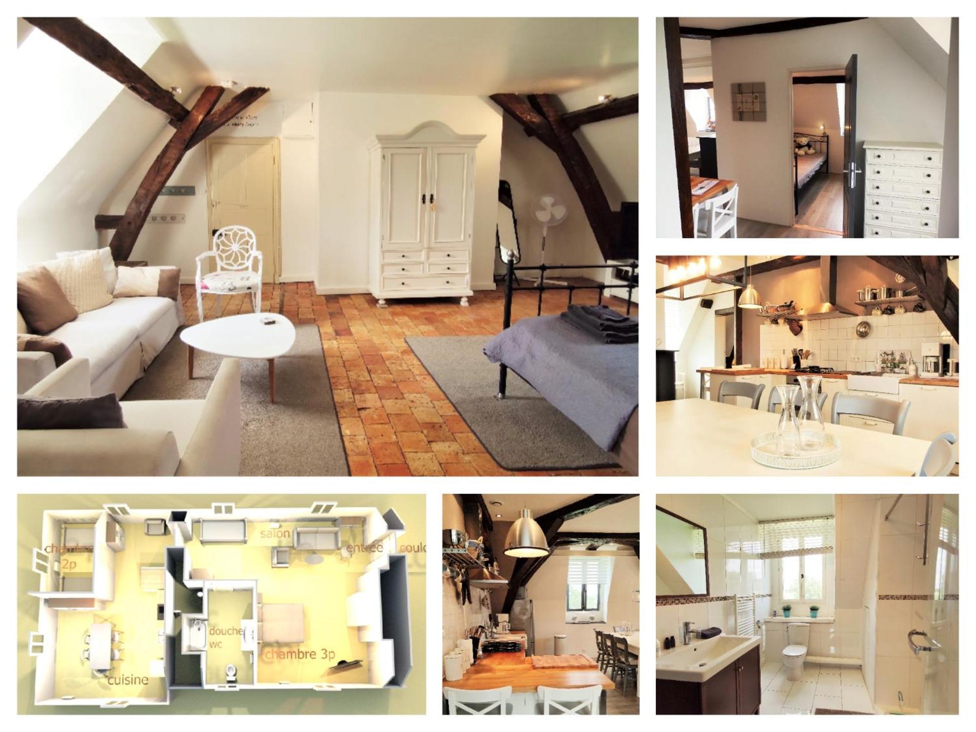 Chateau La Mothaye - Self Catering Apartments With Pool In The Loire Valley Les Bois-d'Anjou Exterior photo